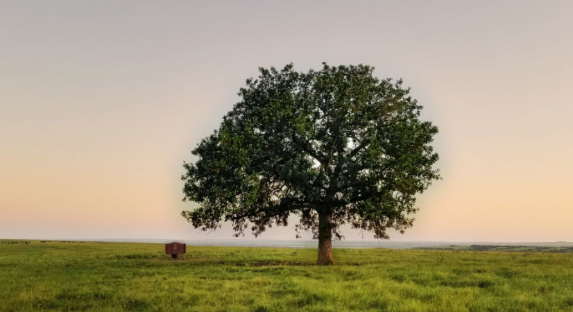 肩負(fù)重?fù)?dān) 推動(dòng)我國(guó)經(jīng)濟(jì)、社會(huì)<br>環(huán)境全面協(xié)調(diào)可持續(xù)發(fā)展